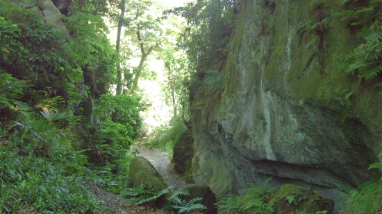 f0202990_2251295.jpg