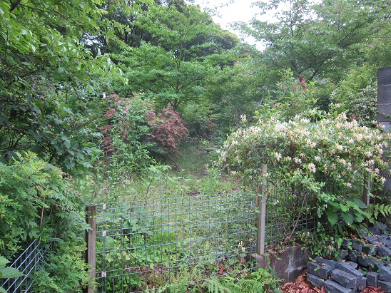 f0106692_18531953.jpg