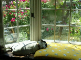 c0023399_110722.jpg