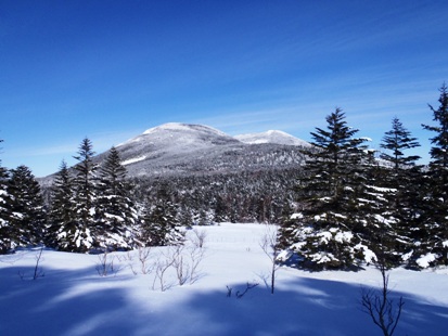 e0077899_7433691.jpg
