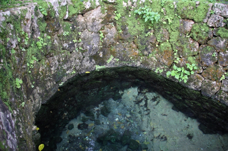 d0136804_933081.jpg