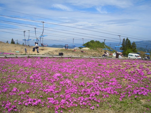 e0033713_1922854.jpg