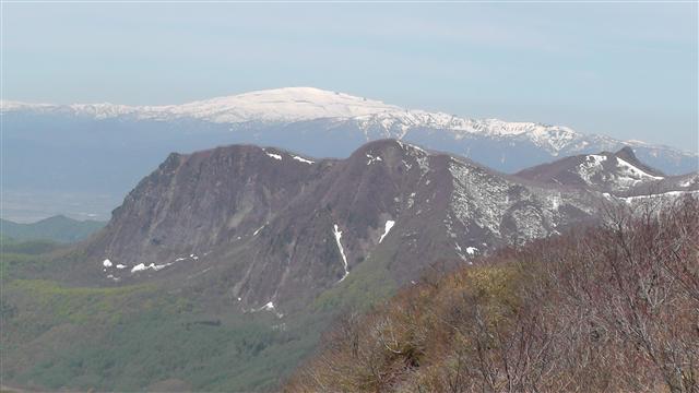 a0127015_8324393.jpg