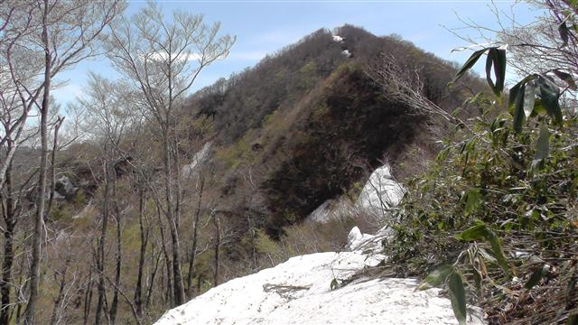 a0127015_8511111.jpg