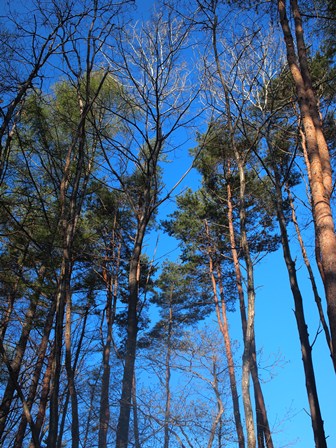 b0207615_2342495.jpg