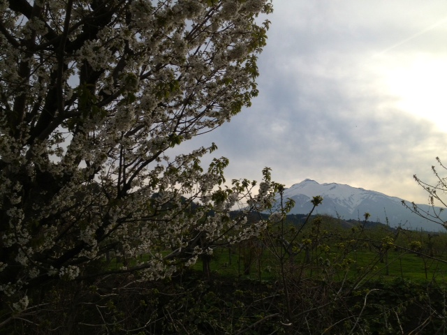 b0150120_17243174.jpg