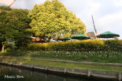 c0071221_222837.jpg