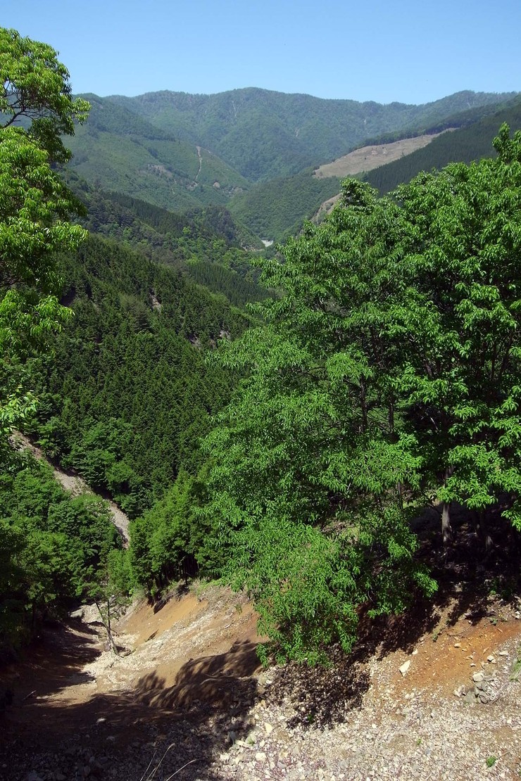 d0032222_2040476.jpg
