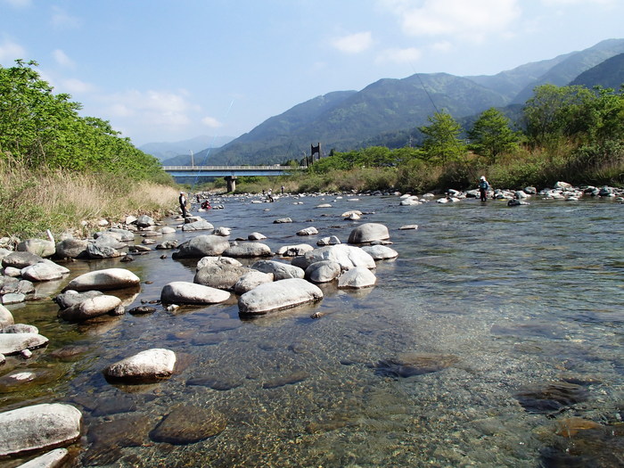 d0172227_881543.jpg