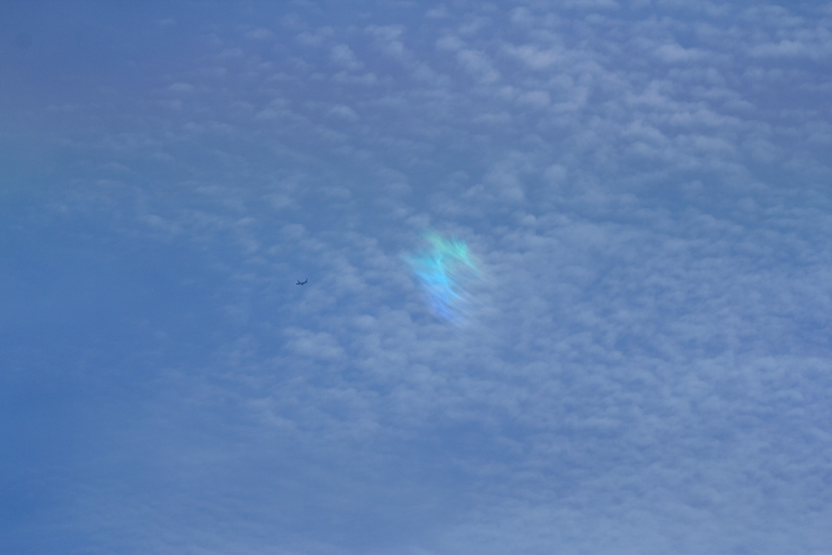 b0222029_2203515.jpg