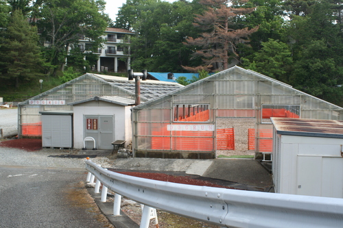 b0085331_21105423.jpg