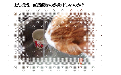 e0255638_1243429.png