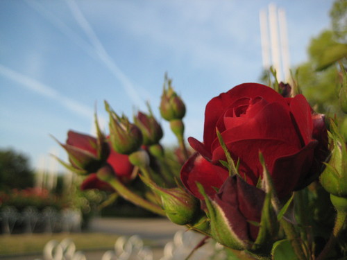 f0247039_13182051.jpg