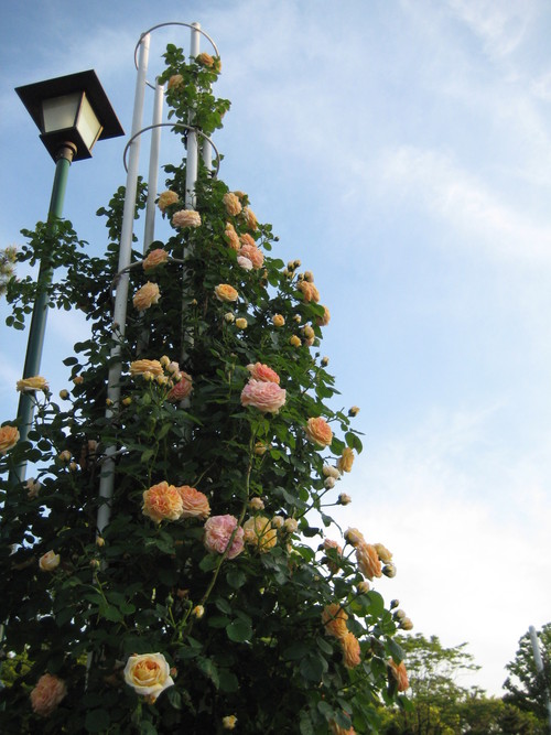 f0247039_13271247.jpg