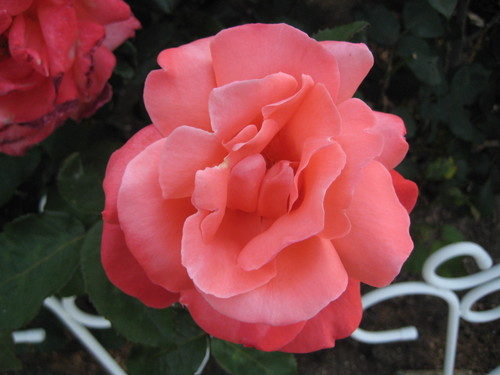 f0247039_13303063.jpg