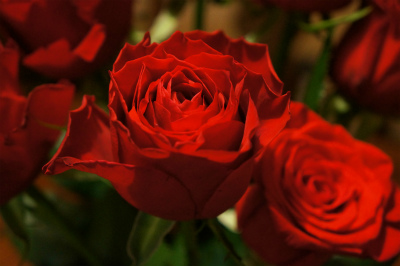 a0135840_10221710.jpg