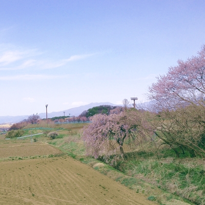 d0008146_22036.jpg