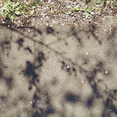 d0008146_27304.jpg
