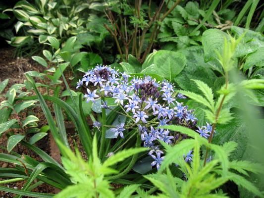 c0147952_22552443.jpg