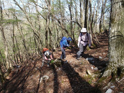 c0097754_18405819.jpg