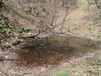 c0097754_18464920.jpg