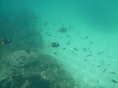 f0043656_12652.jpg