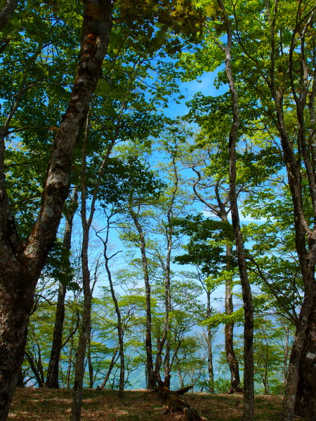 c0122670_21572646.jpg