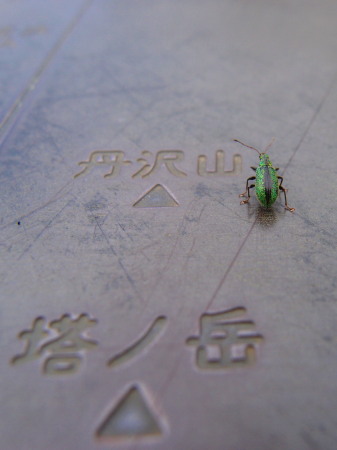 c0122670_2223391.jpg