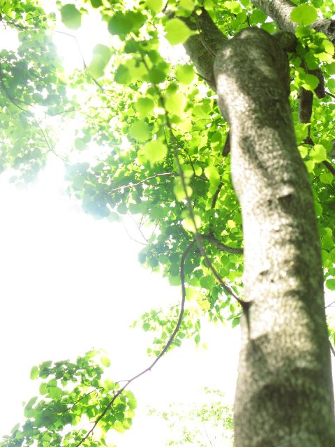 e0307372_22425619.jpg