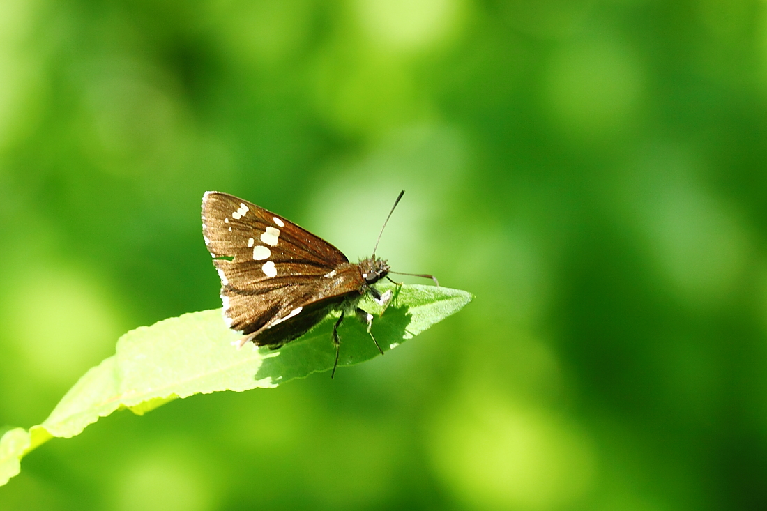 e0249878_20123131.jpg