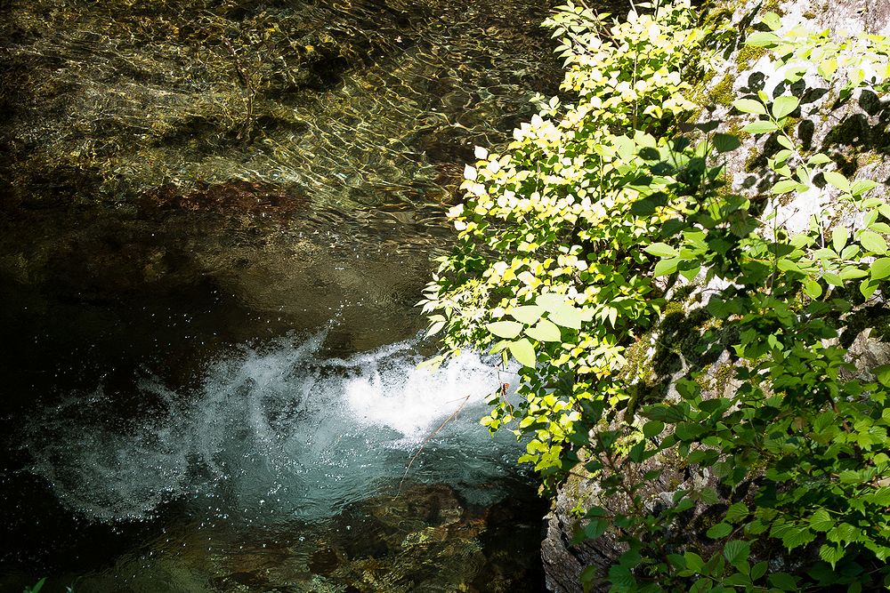 f0234982_13121750.jpg