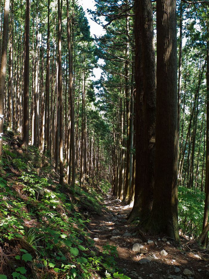 f0234982_19324588.jpg