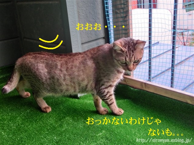 a0159490_1622577.jpg