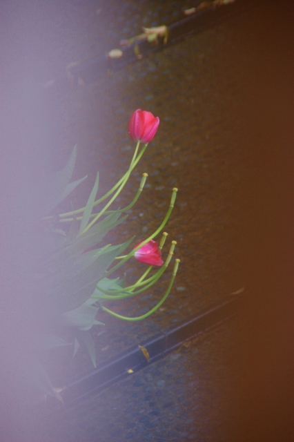 c0246290_230156.jpg