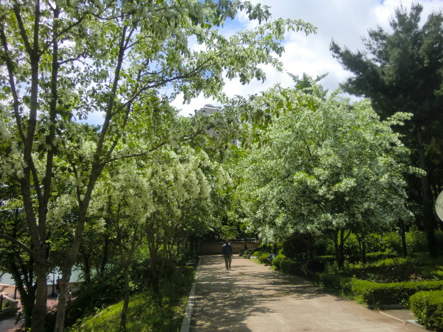 b0044296_23383282.jpg