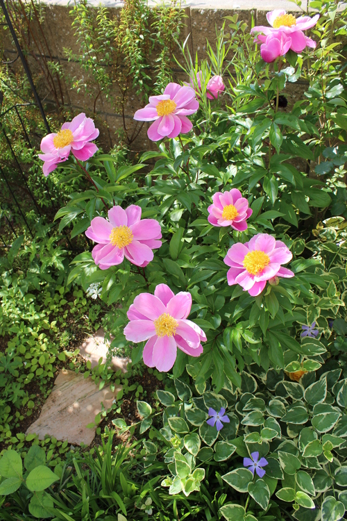 a0190999_0461738.jpg