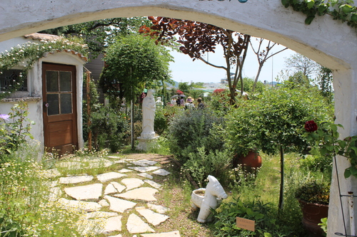 a0190999_131161.jpg