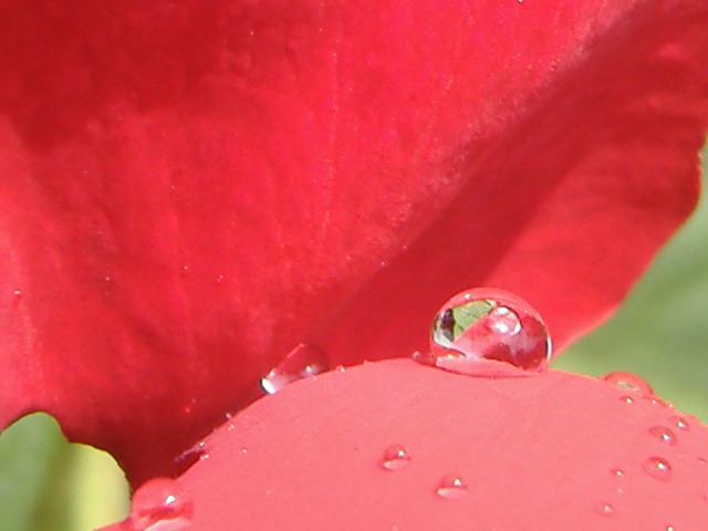 c0272200_12224985.jpg