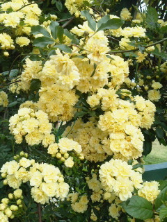 c0272200_1230259.jpg
