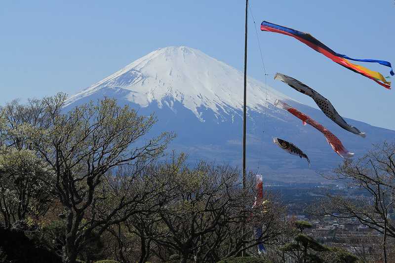 a0188405_12493139.jpg