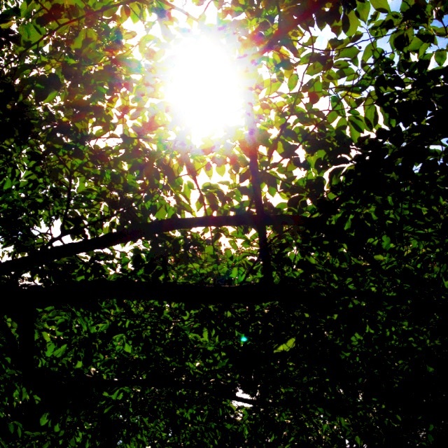 a0088007_1254373.jpg