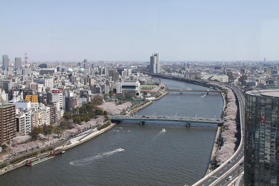 a0212807_229244.jpg