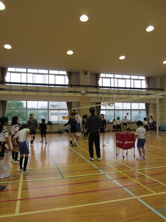 d0138226_858123.jpg