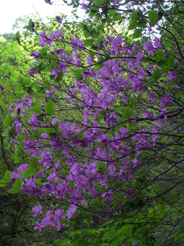 f0103126_17421482.jpg