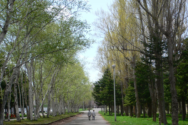 a0046429_13425846.jpg