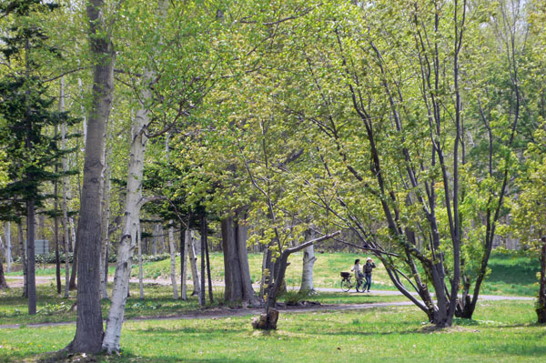 a0046429_13431339.jpg