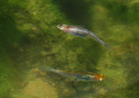 e0097534_13341372.jpg