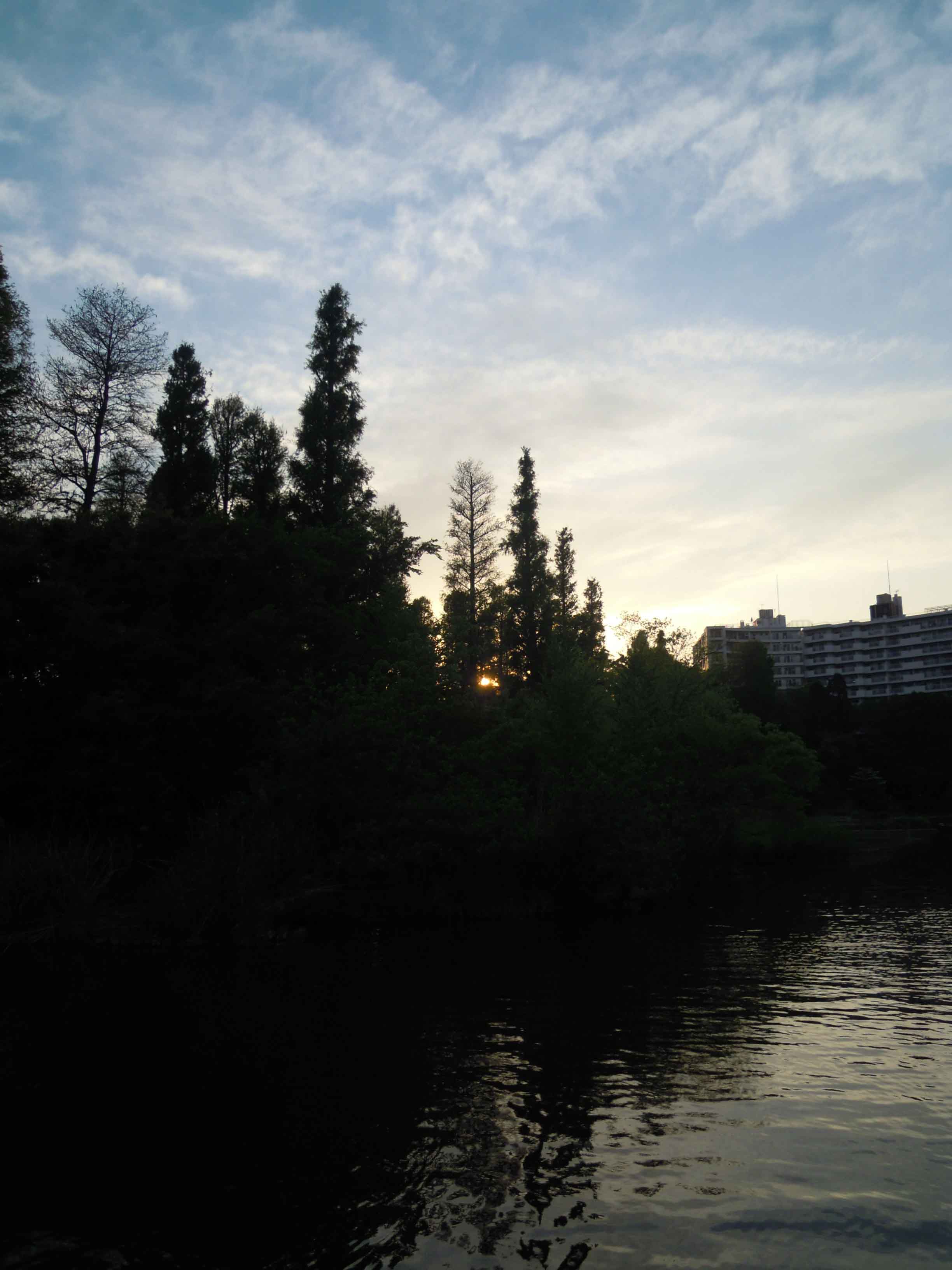 e0256436_2324276.jpg