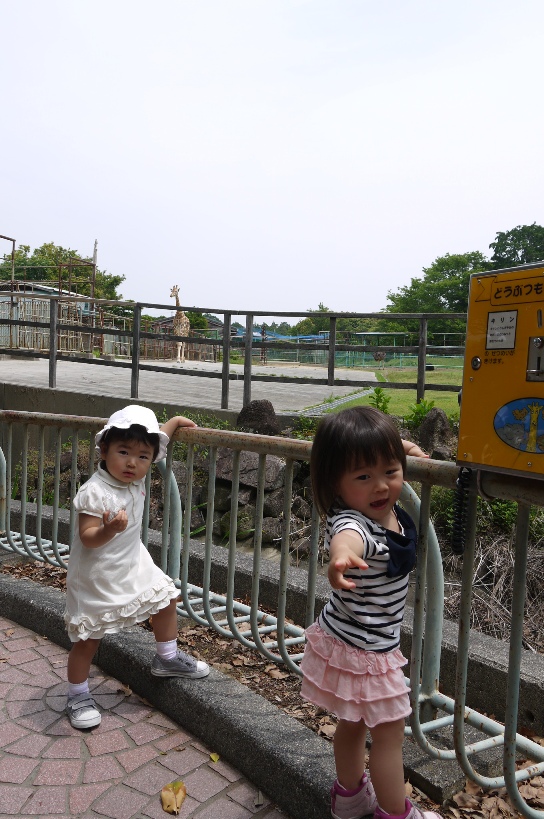 f0128843_198523.jpg