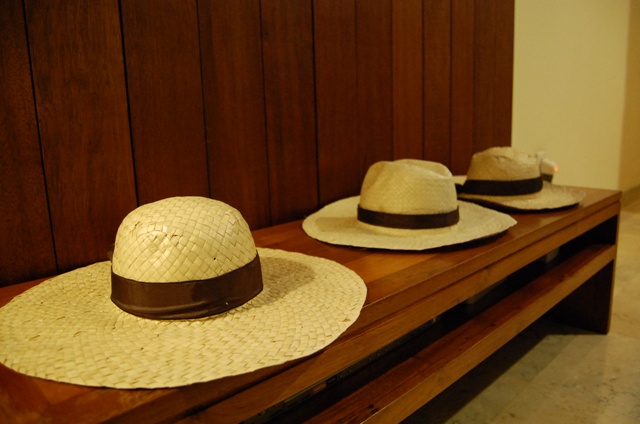 f0201054_225163.jpg
